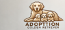 adoption golden retriever