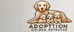 adoption golden retriever